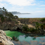 Point Lobos Thumbnail