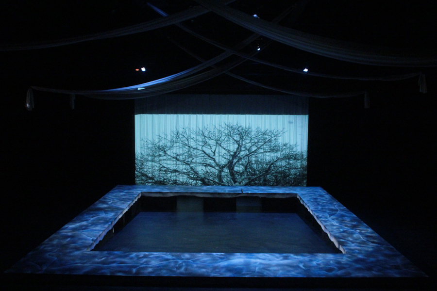 Video Design for the Rose and the Rime, a dark snowy stage with a barron tree in the background